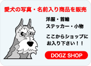 dogz